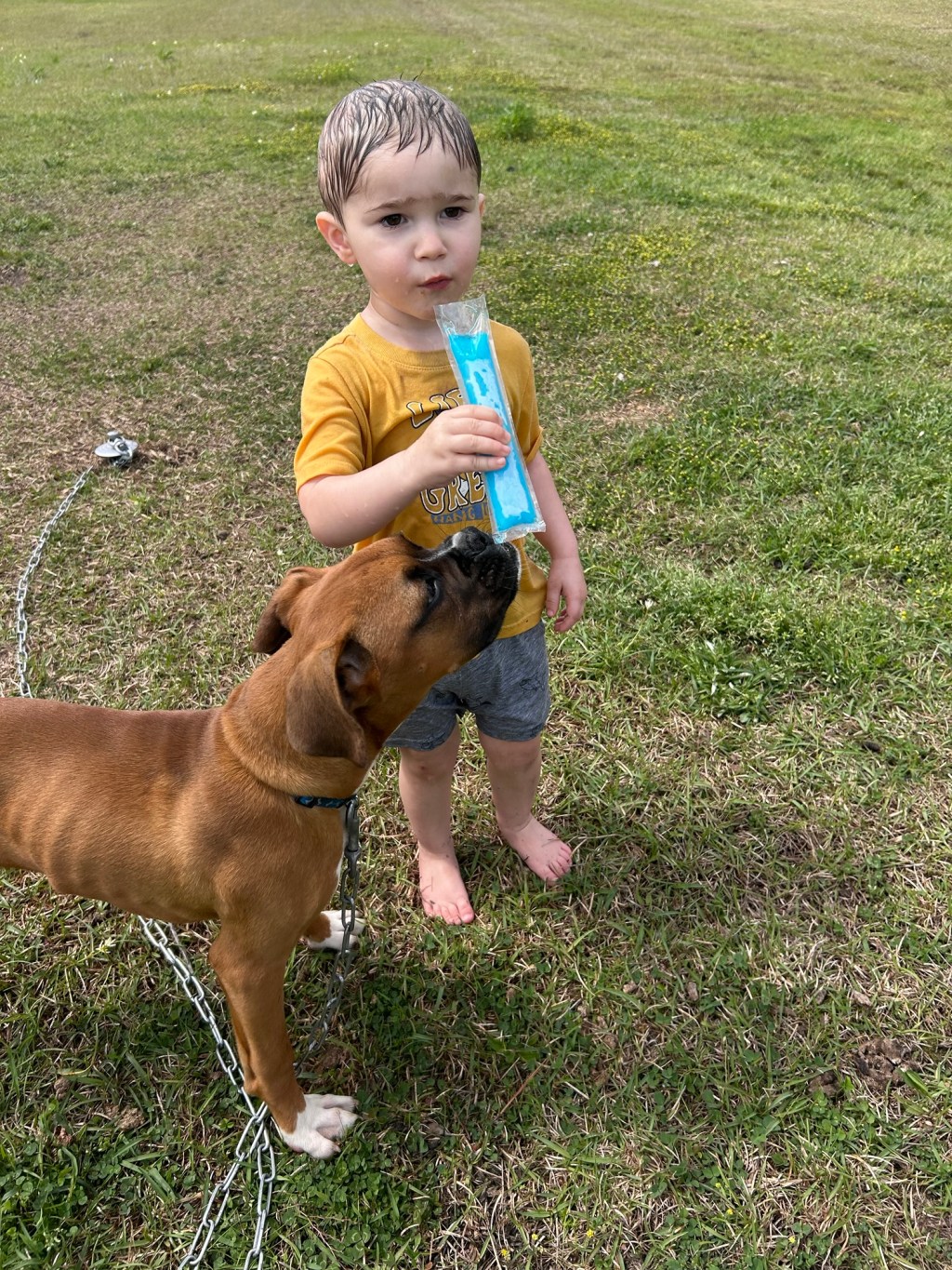 Quick touch base – fundraising event tomorrow! (5 April&nbsp;2025)