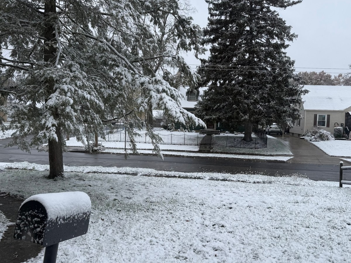 Winter Is Coming – YOP Week&nbsp;19