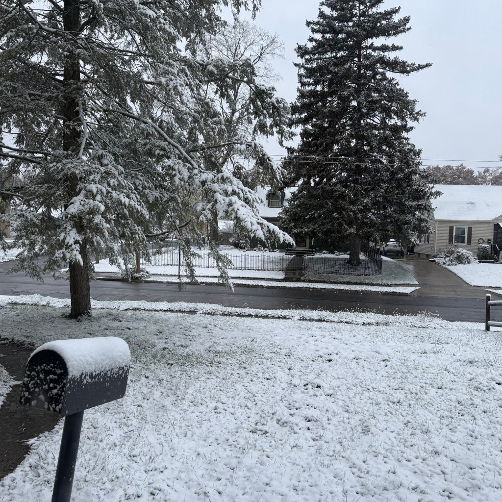 Winter Is Coming – YOP Week&nbsp;19